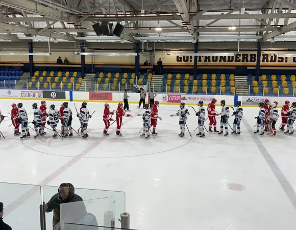 Group Hockey Team Service